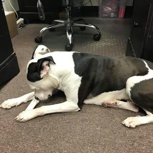 Meet your Posher, Cathy